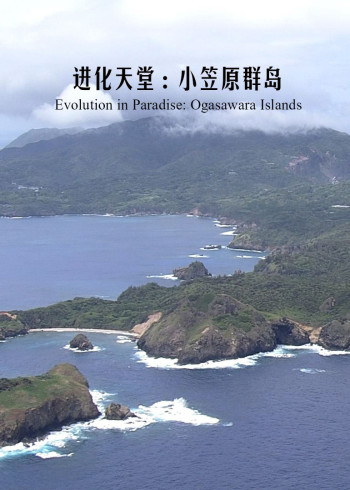 进化天堂小笠原群岛